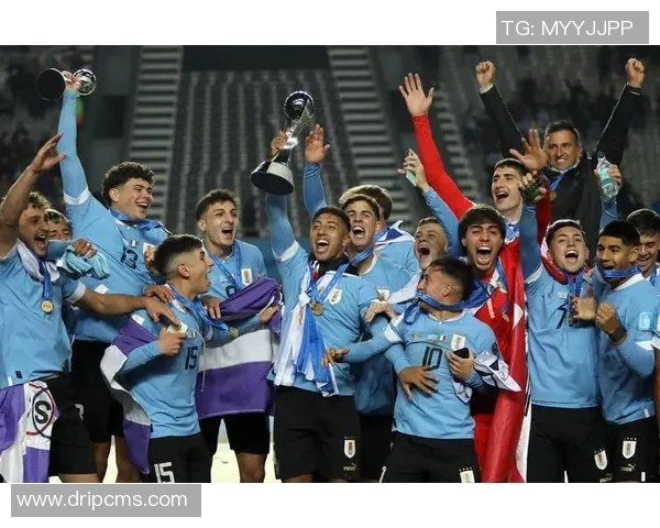 巴拉圭与乌拉圭足球赛前瞻及胜负预测分析